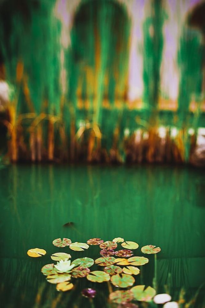 Фото Hiša posebne sorte