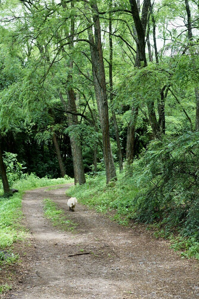 Фото Estancia Grande