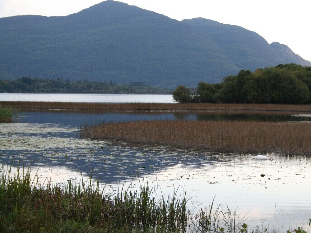 Фото Innisfallen Holiday Village