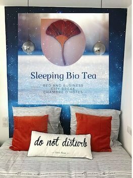 Гостиница Sleeping Bio Tea Bed and Breakfast в Тионвиле