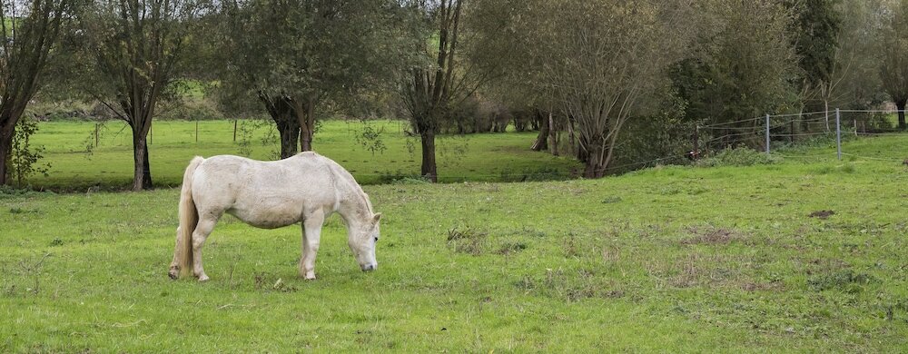 Фото Ferme Chateau Laneffe