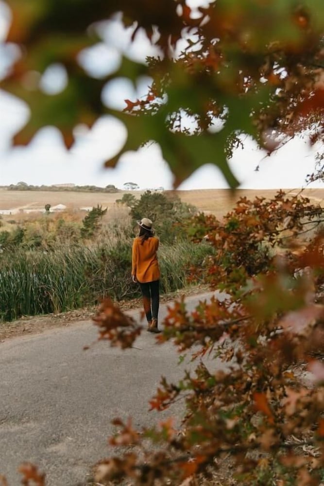 Фото Zevenwacht Wine Estate