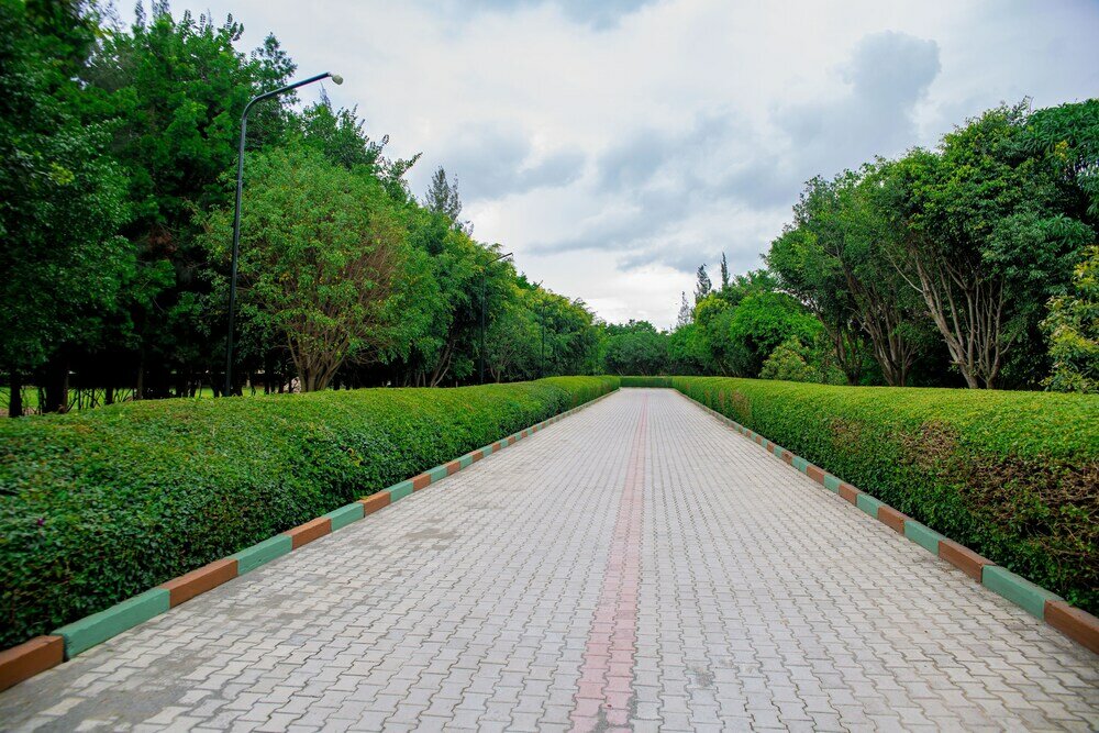 Фото Eden Highlands Hotel