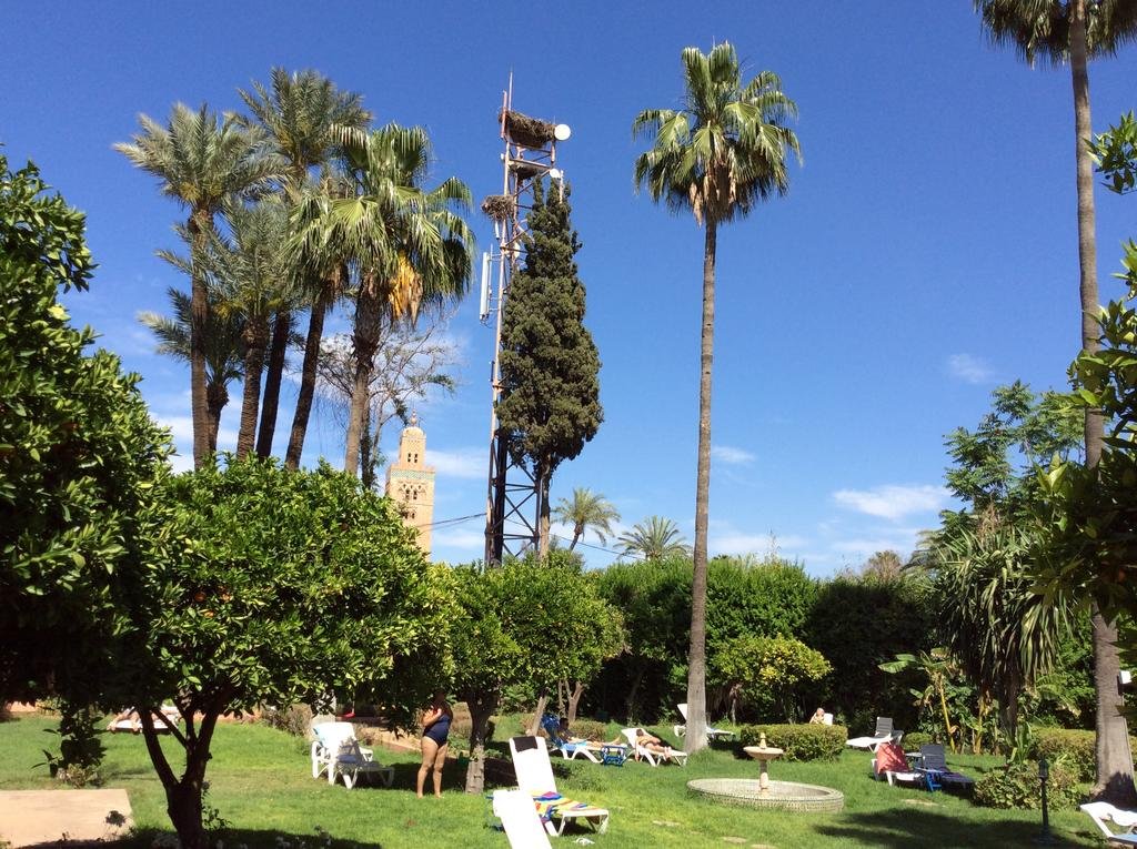 Фото Hotel Chems