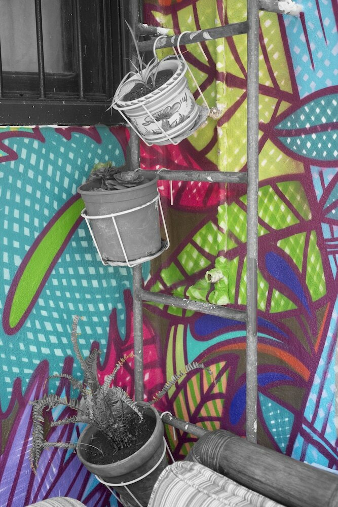 Фото Patio Hostel - Adults Only