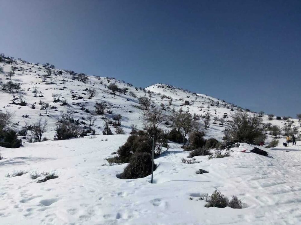 Фото Psiloritis Retreat Hotel