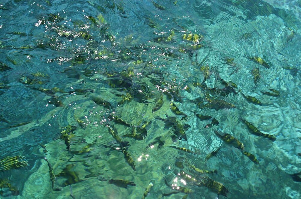 Фото Tropicana Lanta Resort