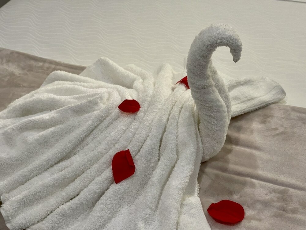 Фото The Cove - Condo Hotel - Perfect Location