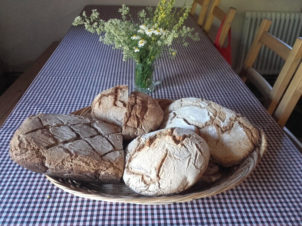 Фото Alberg Rural El Negre - Hostel