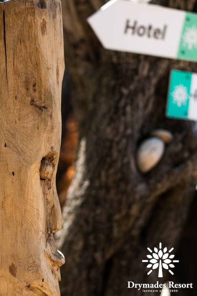 Фото Drymades Resort