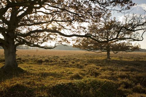 Фото Hotel De Koekoekshof