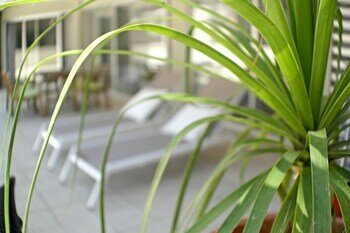 Фото Eden Beach Apartments