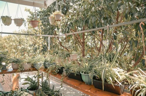 Гостевой дом Little Home в Провинции Бариа-Вунгтау