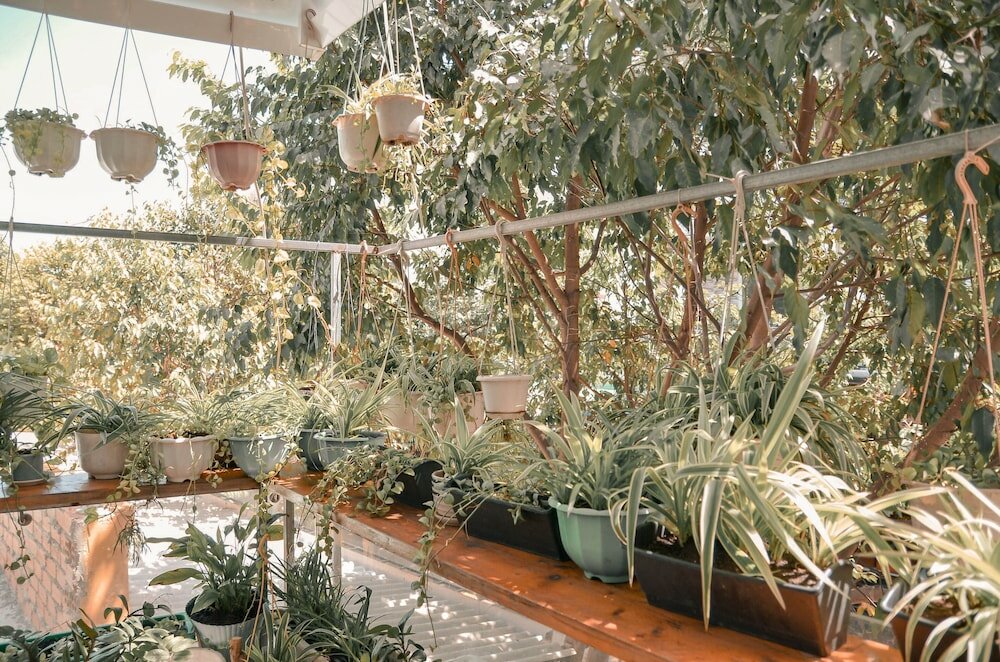 Фото Little Home