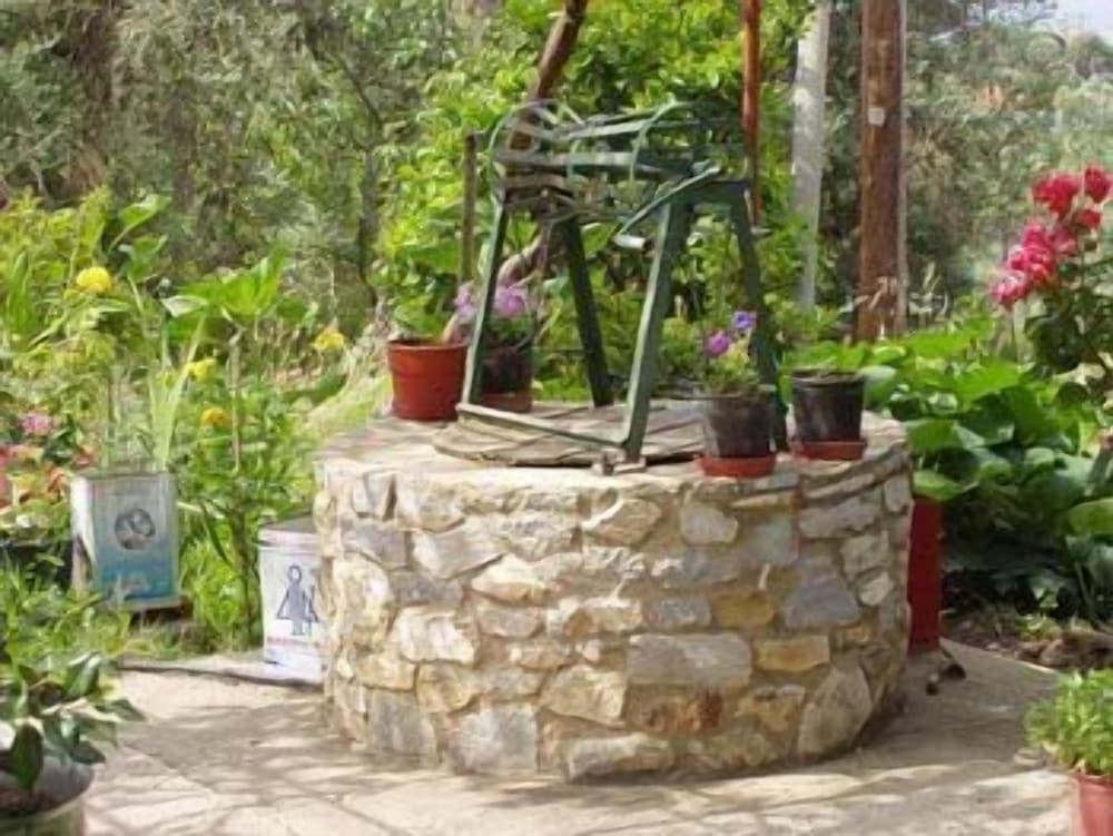 Фото Villa Kavourakia