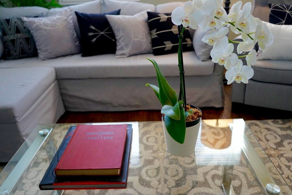 Фото A One-way Ticket to Comforttown