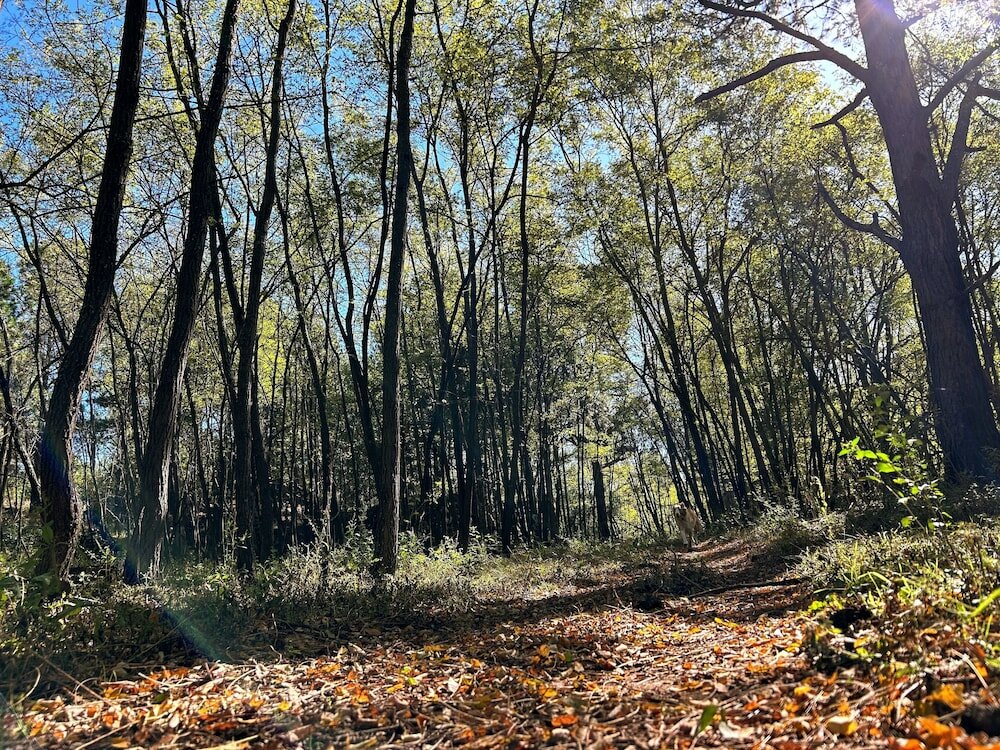 Фото Estancia San Miguel