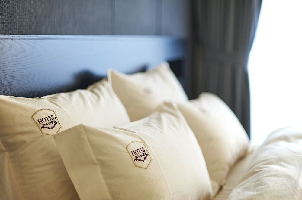 Фото SPA View Hotel