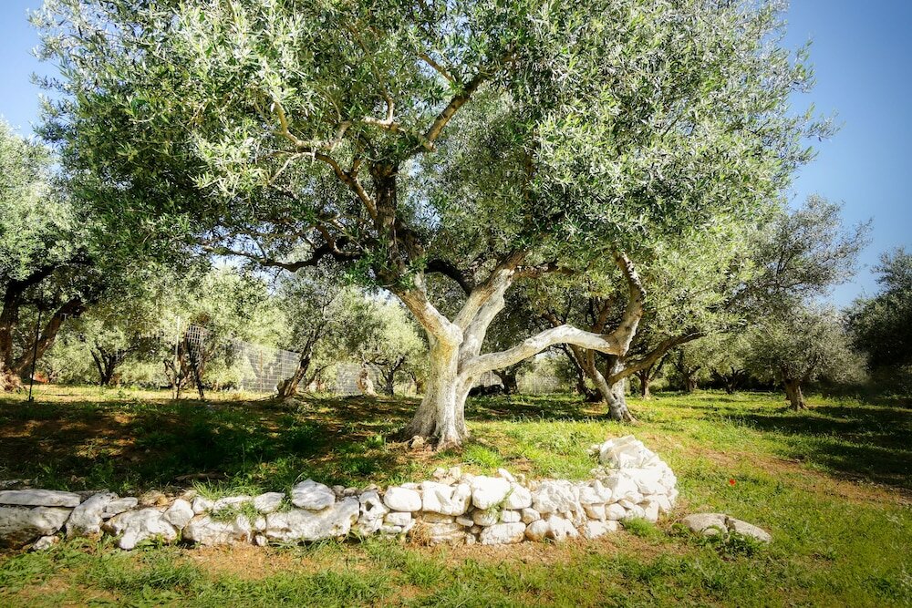 Фото Areti Hotel