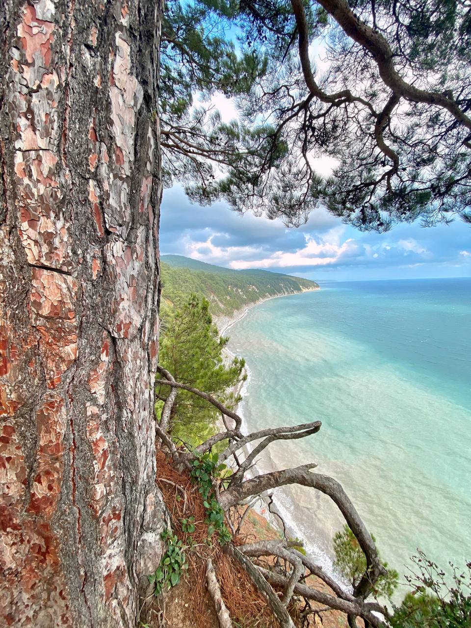 Фото Ремарка