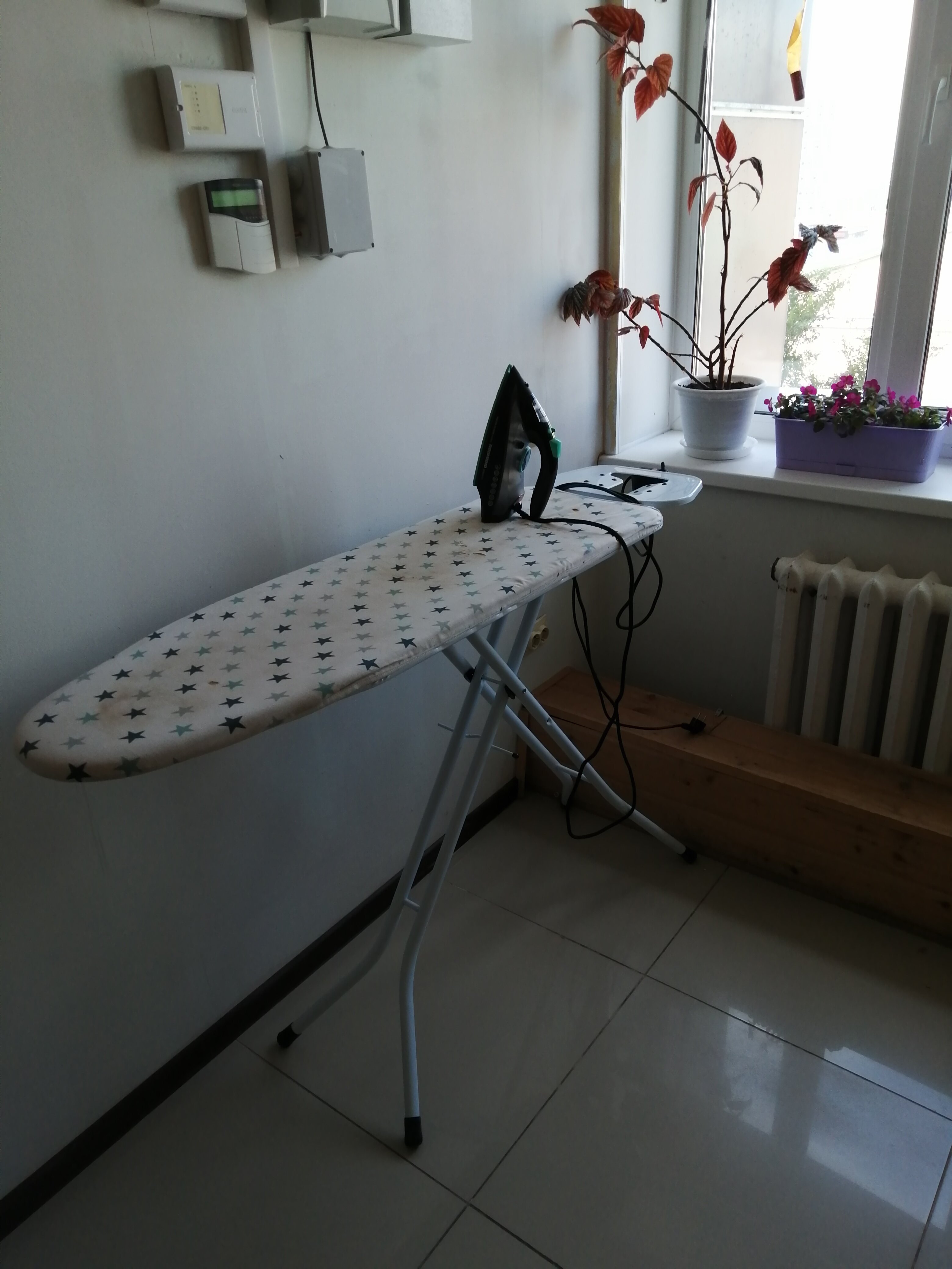 Фото Golden Tiger