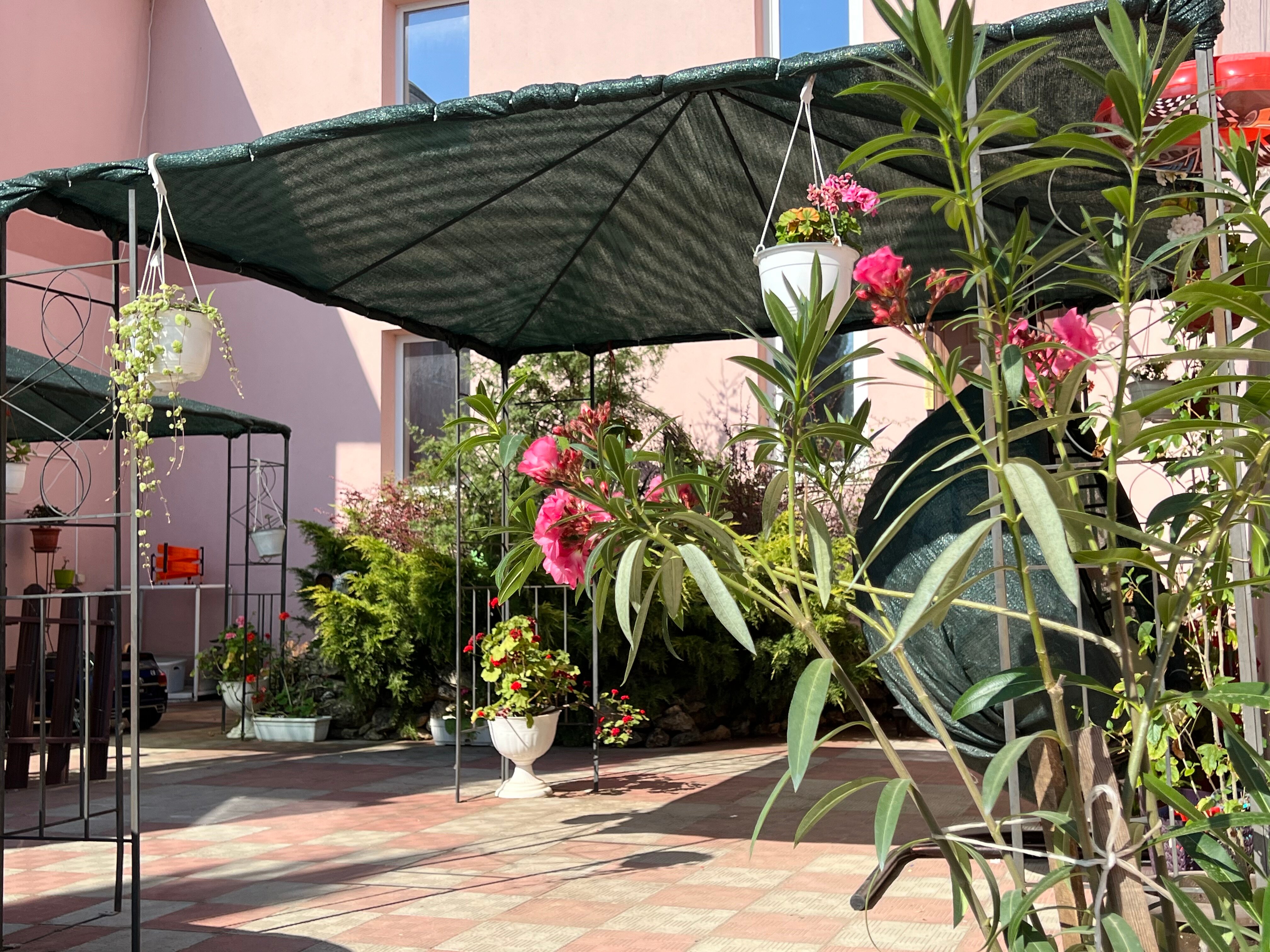 Фото Орловская усадьба