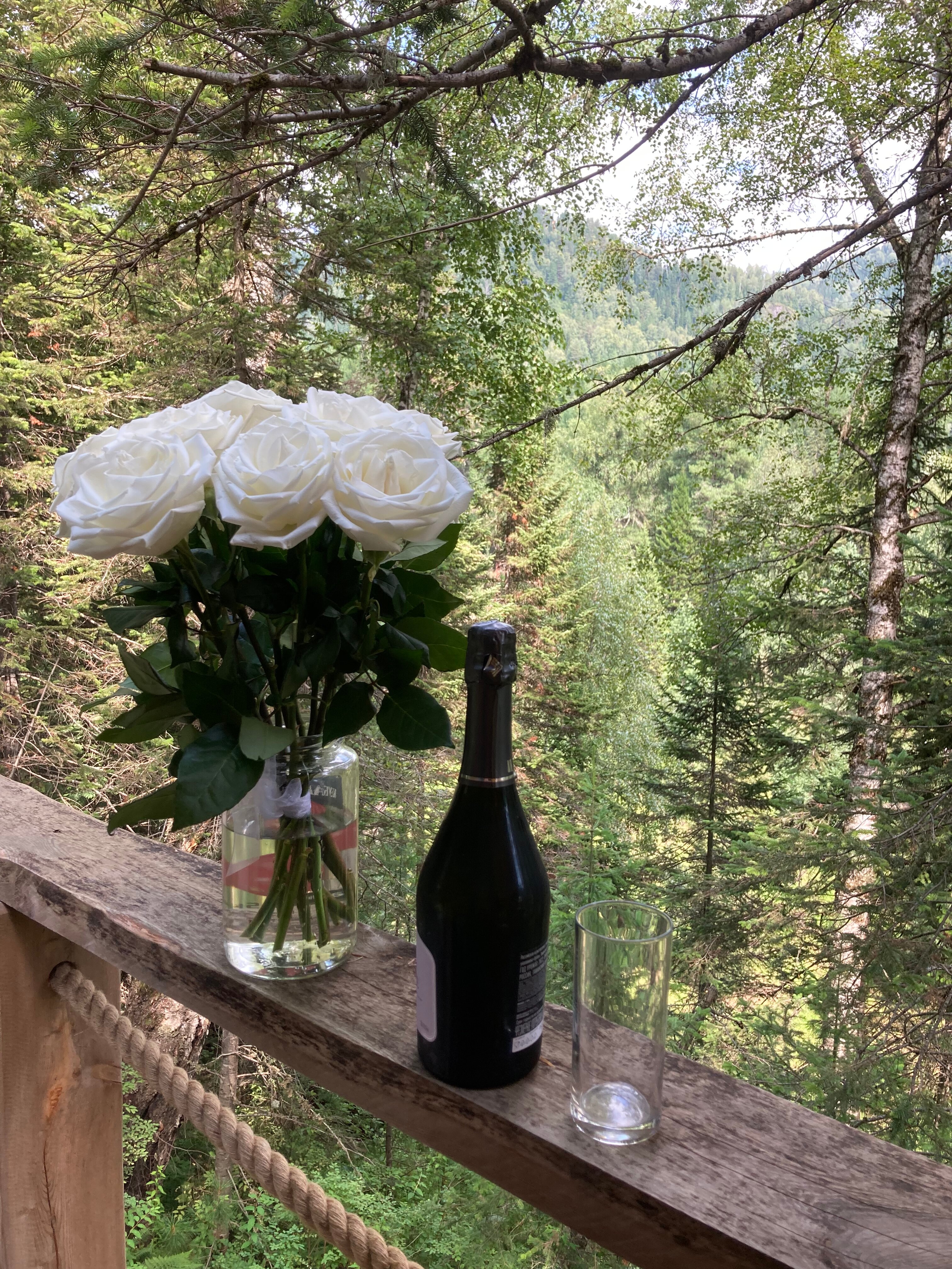 Фото Кедровая берлога