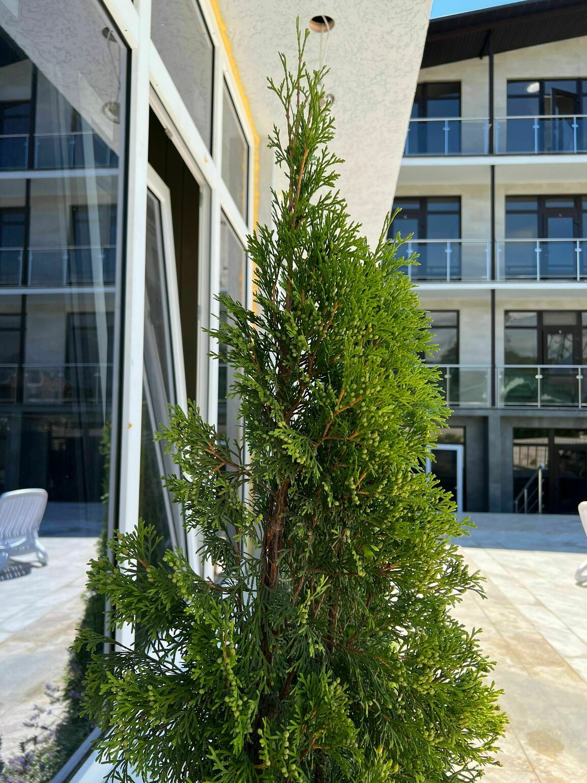 Фото Astra Montale Family