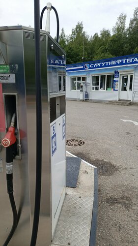 محطة وقود Surgutneftegaz Novgorodnefteprodukt ، مقاطعة نوفغورود، صورة