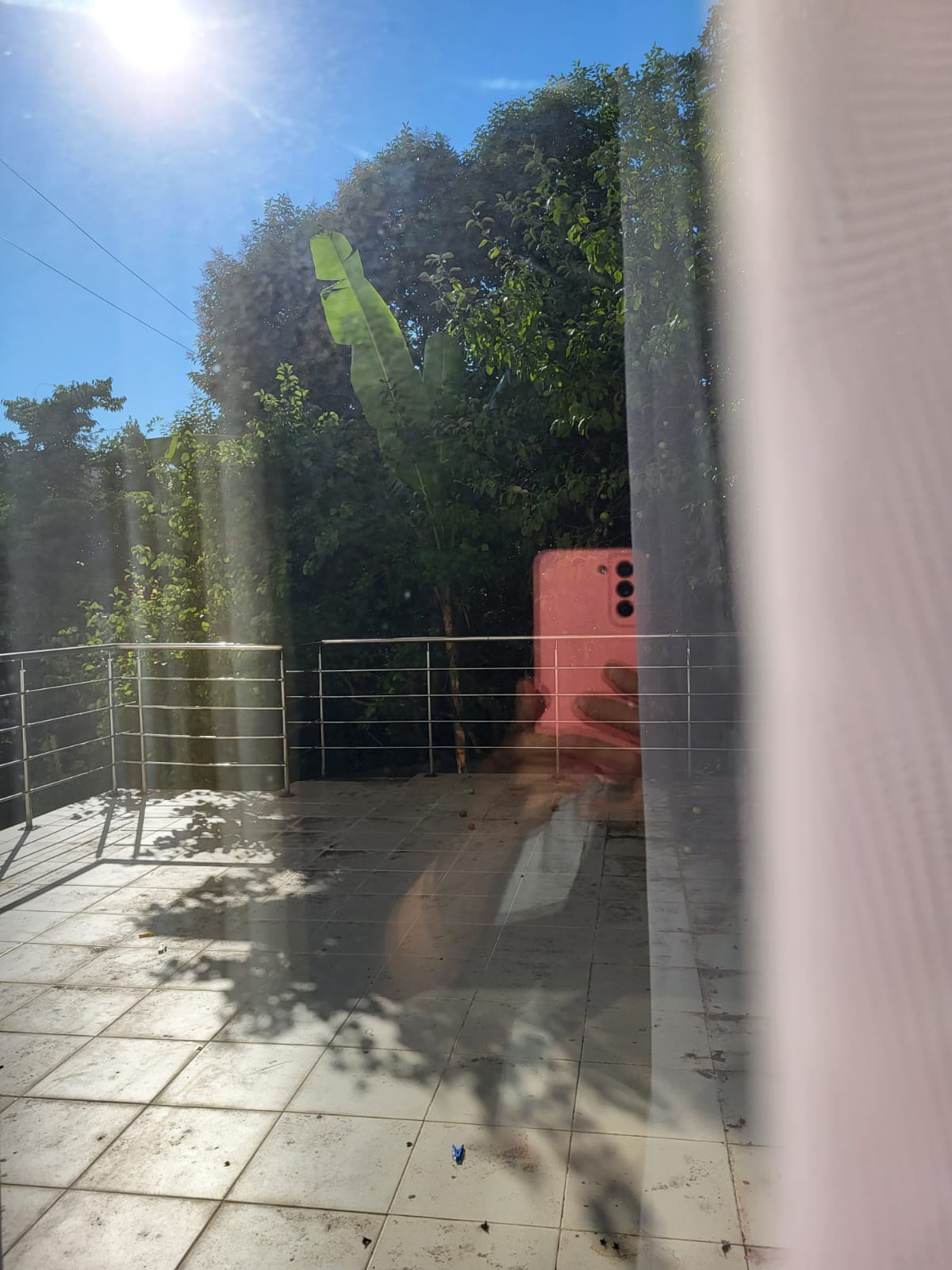 Фото Домашний