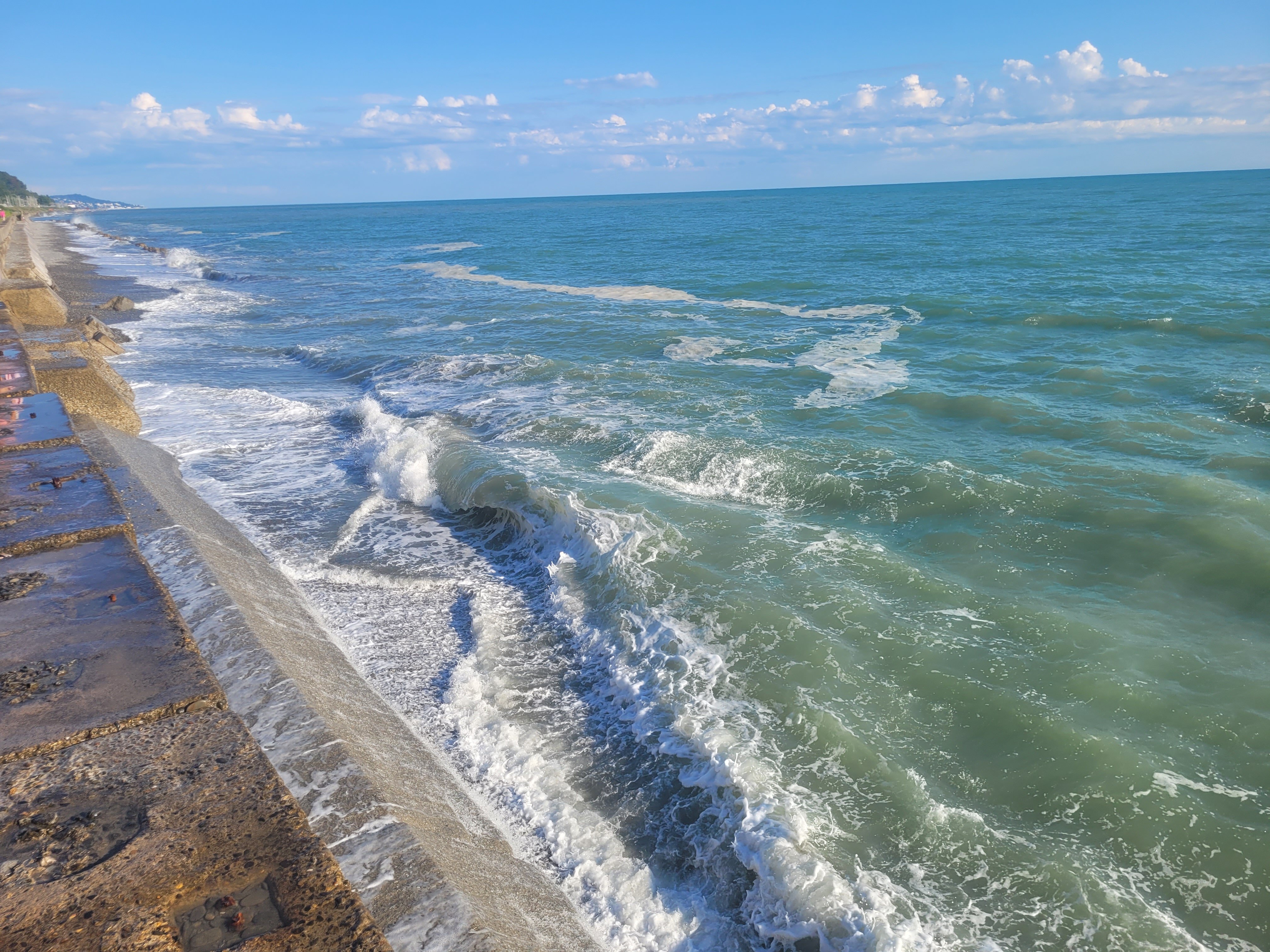 Фото Резеда