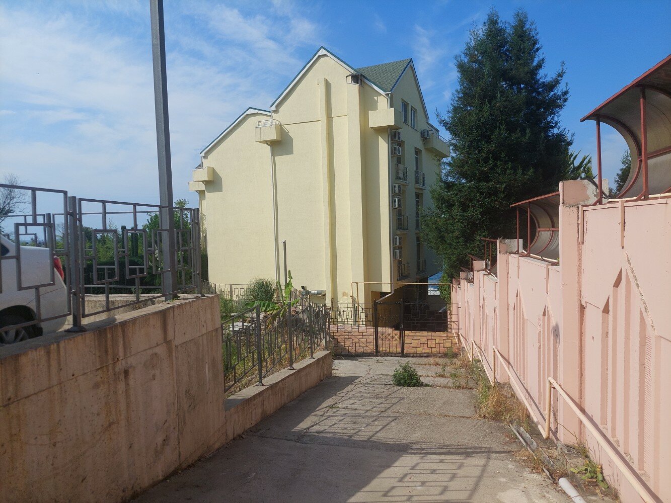 Фото Пеликан