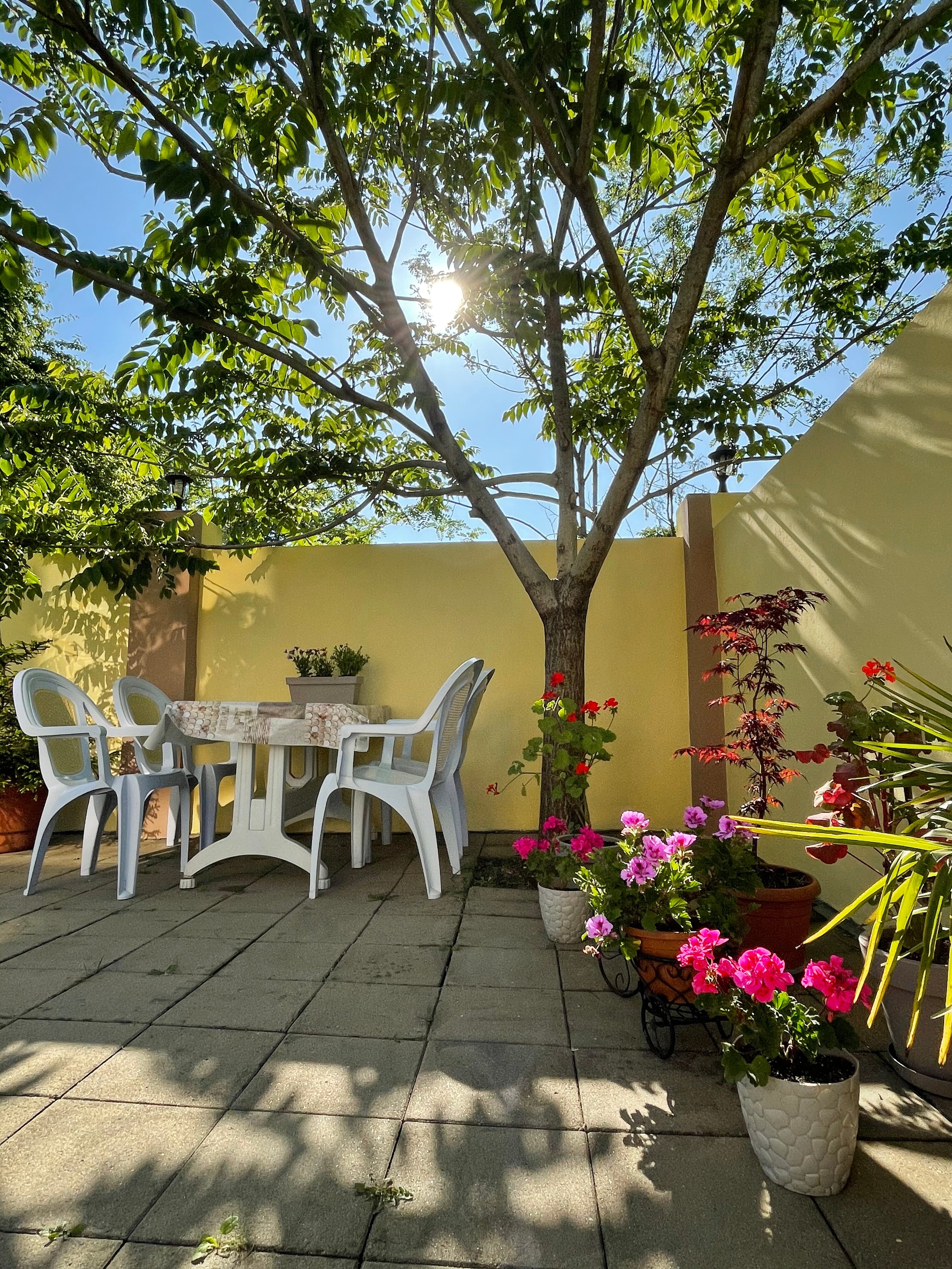 Фото Гостевой Дом Кобулети