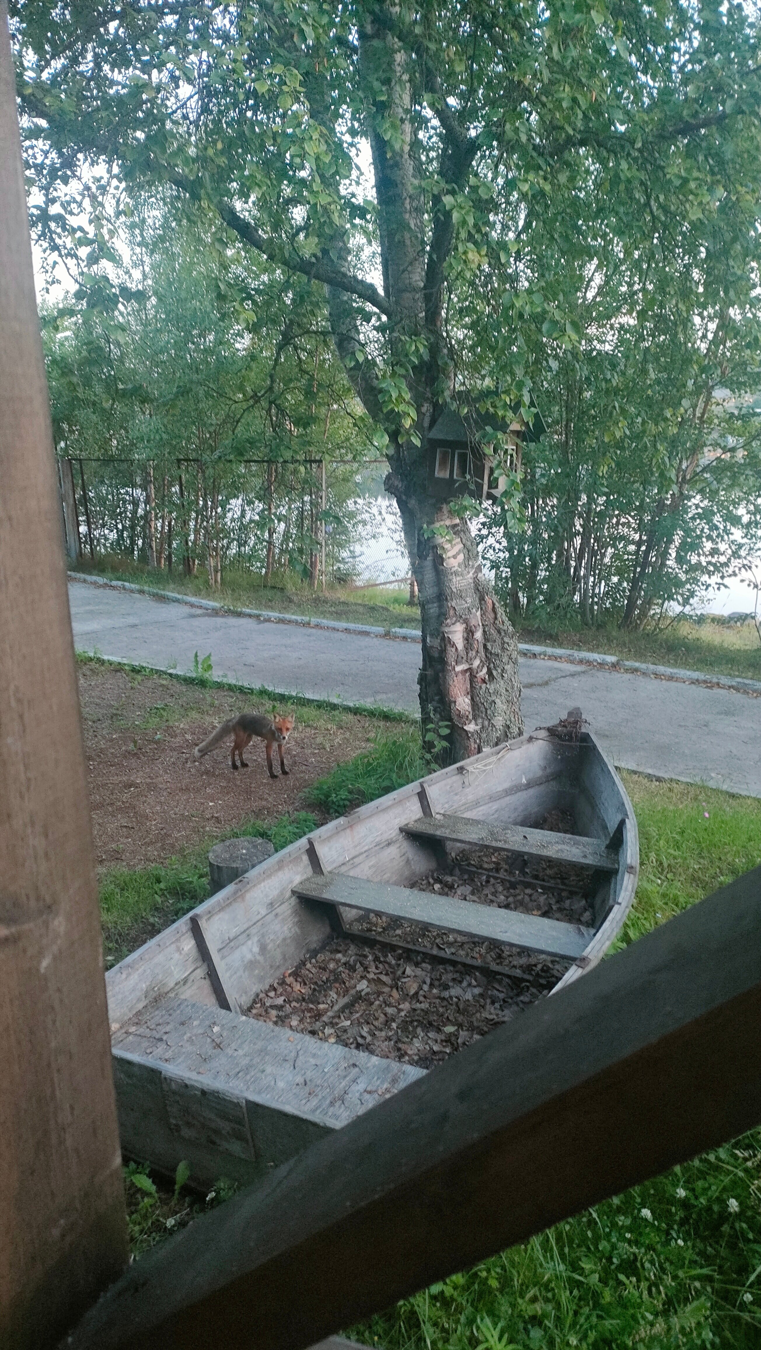 Фото Перигей