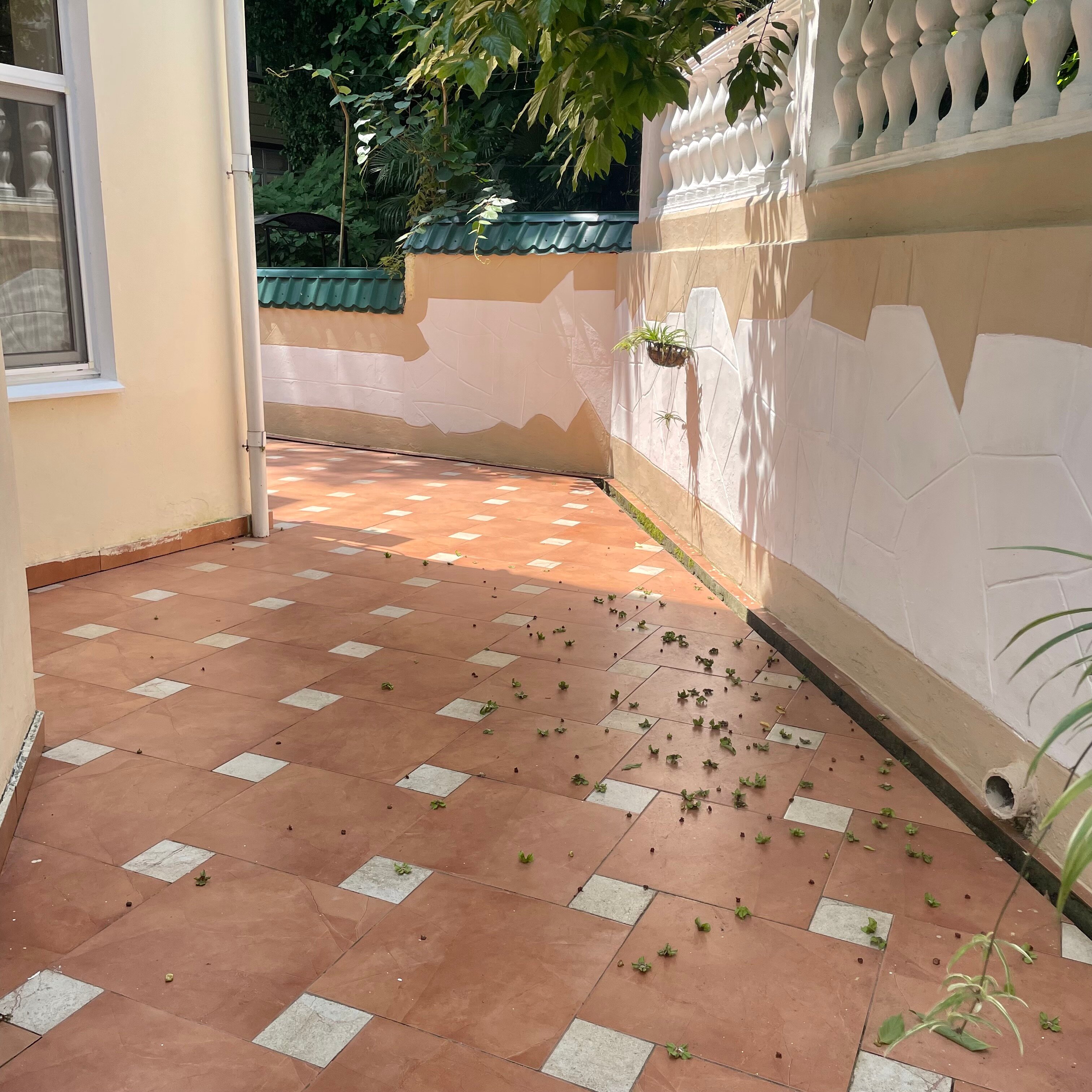 Фото Анна-вояж