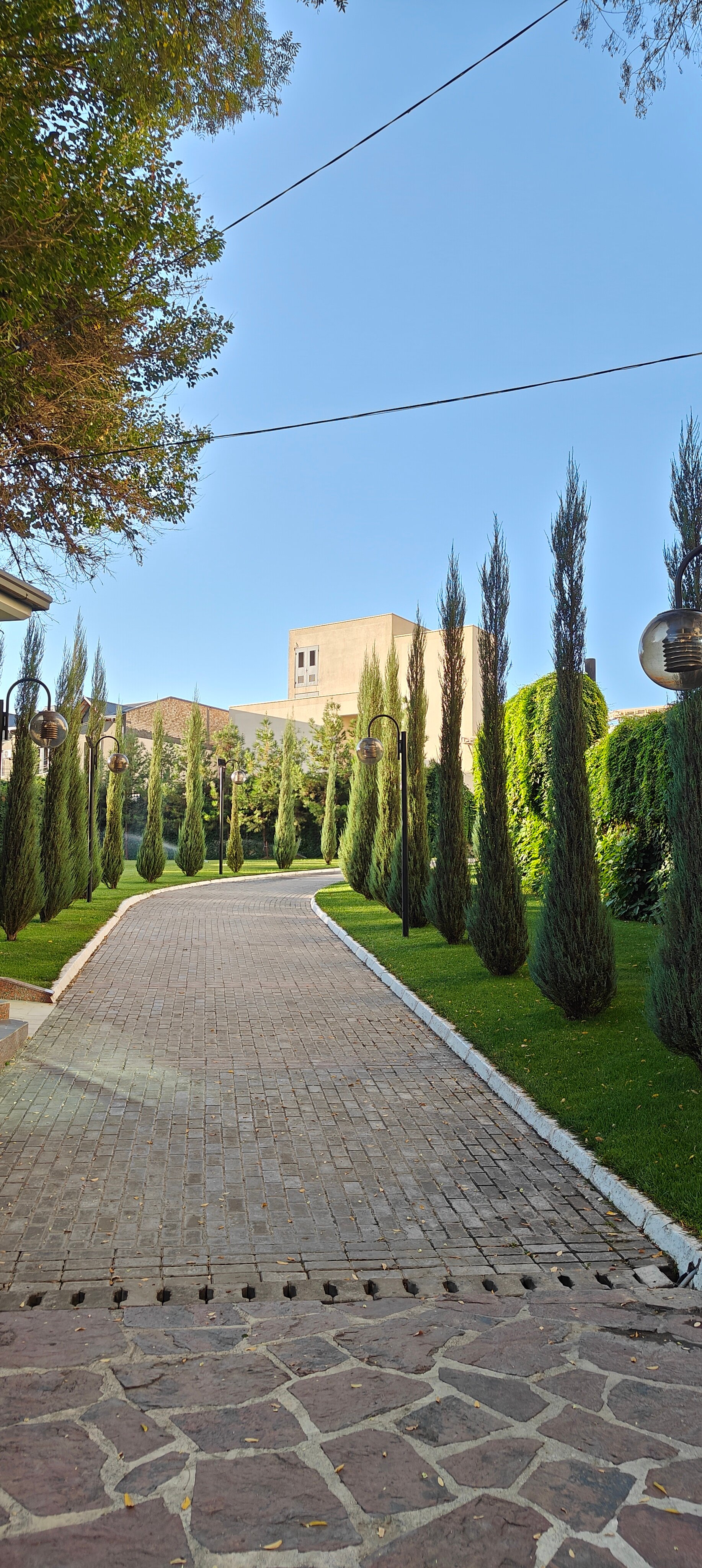 Фото Radisson Blu Hotel