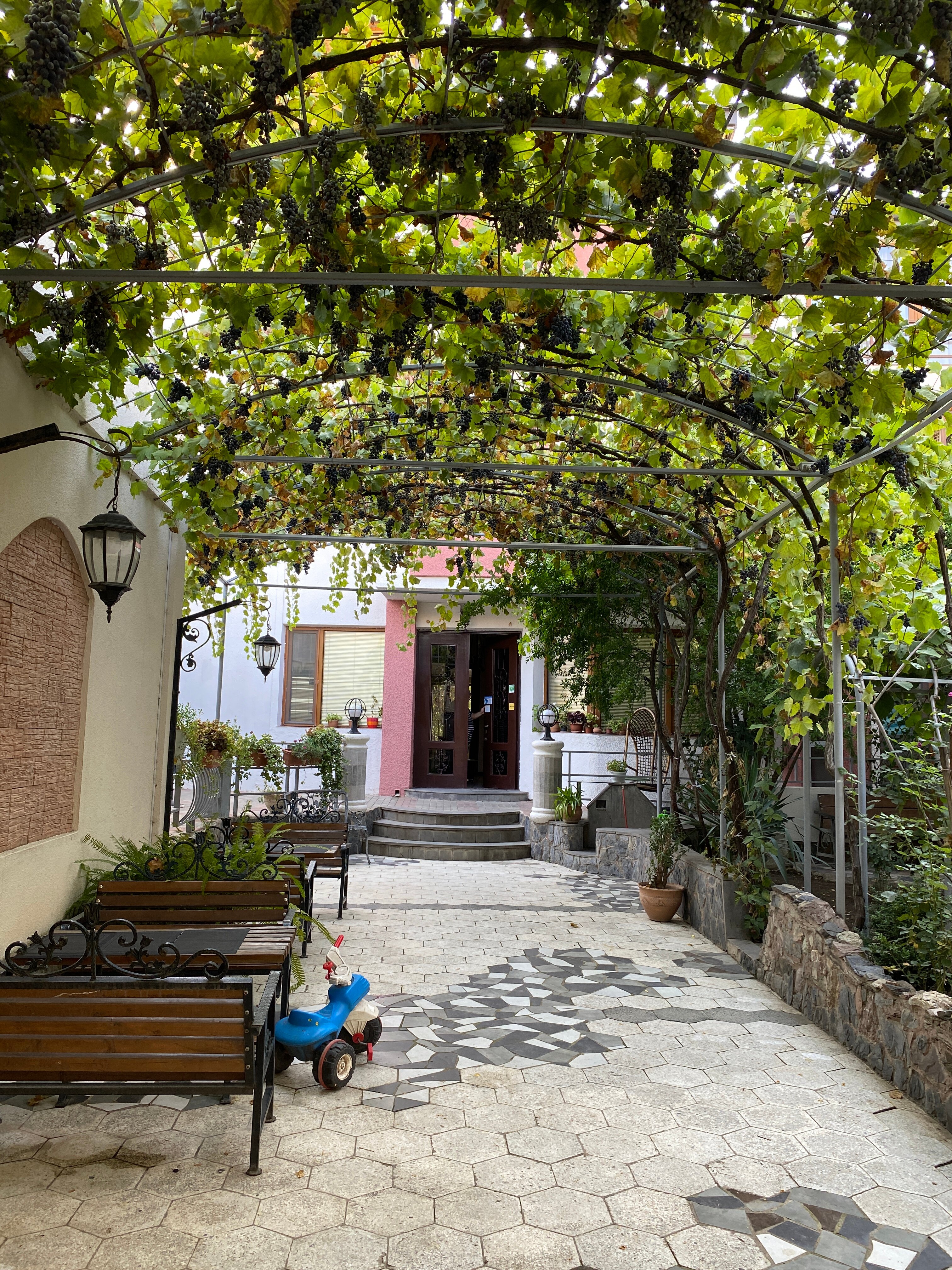 Фото Hotel Livin