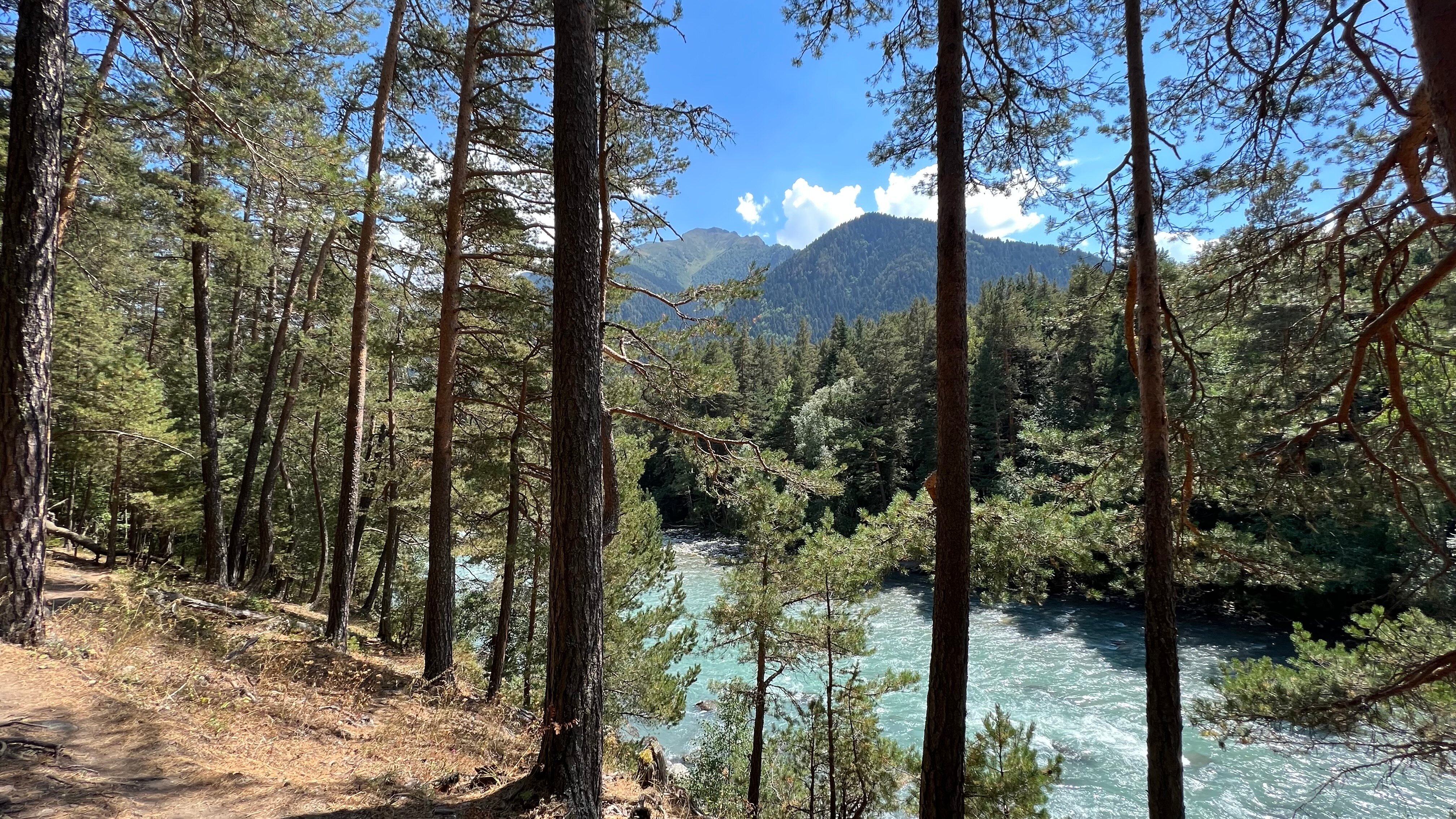 Фото Сосновый бор