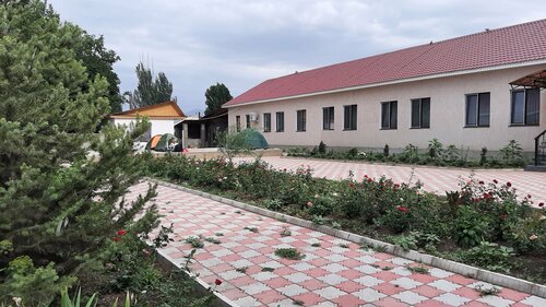 Порно тапсырыстарды орындайды