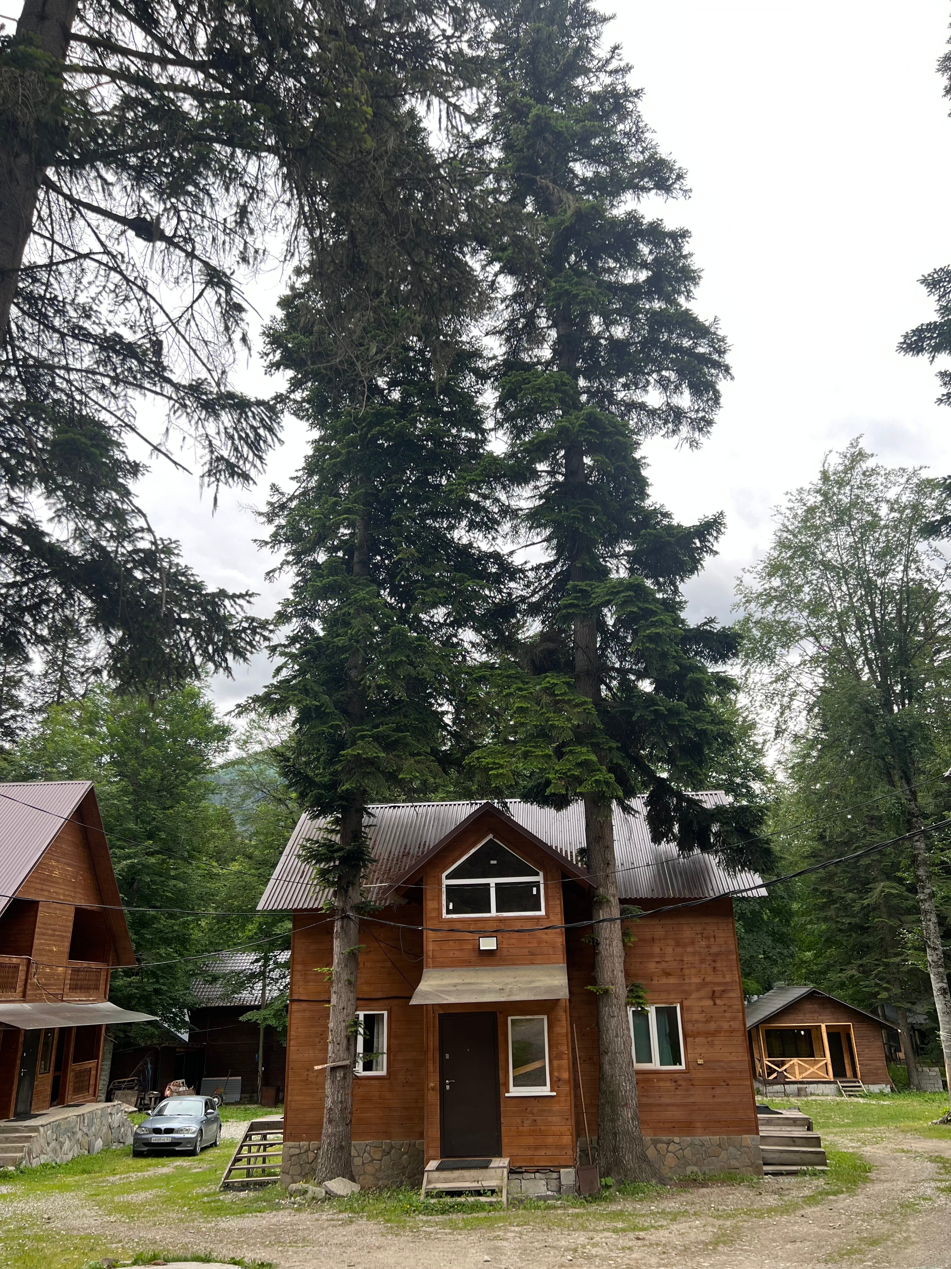 Фото Forest Yard