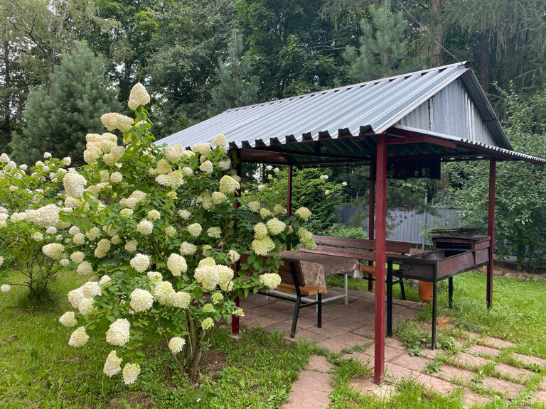 Фото Грин Стар