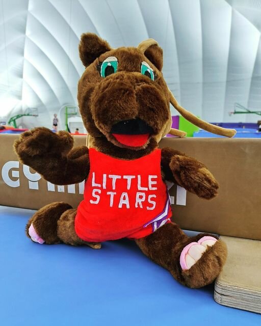 Sports school The Little Stars Club, Abu Dhabi, photo