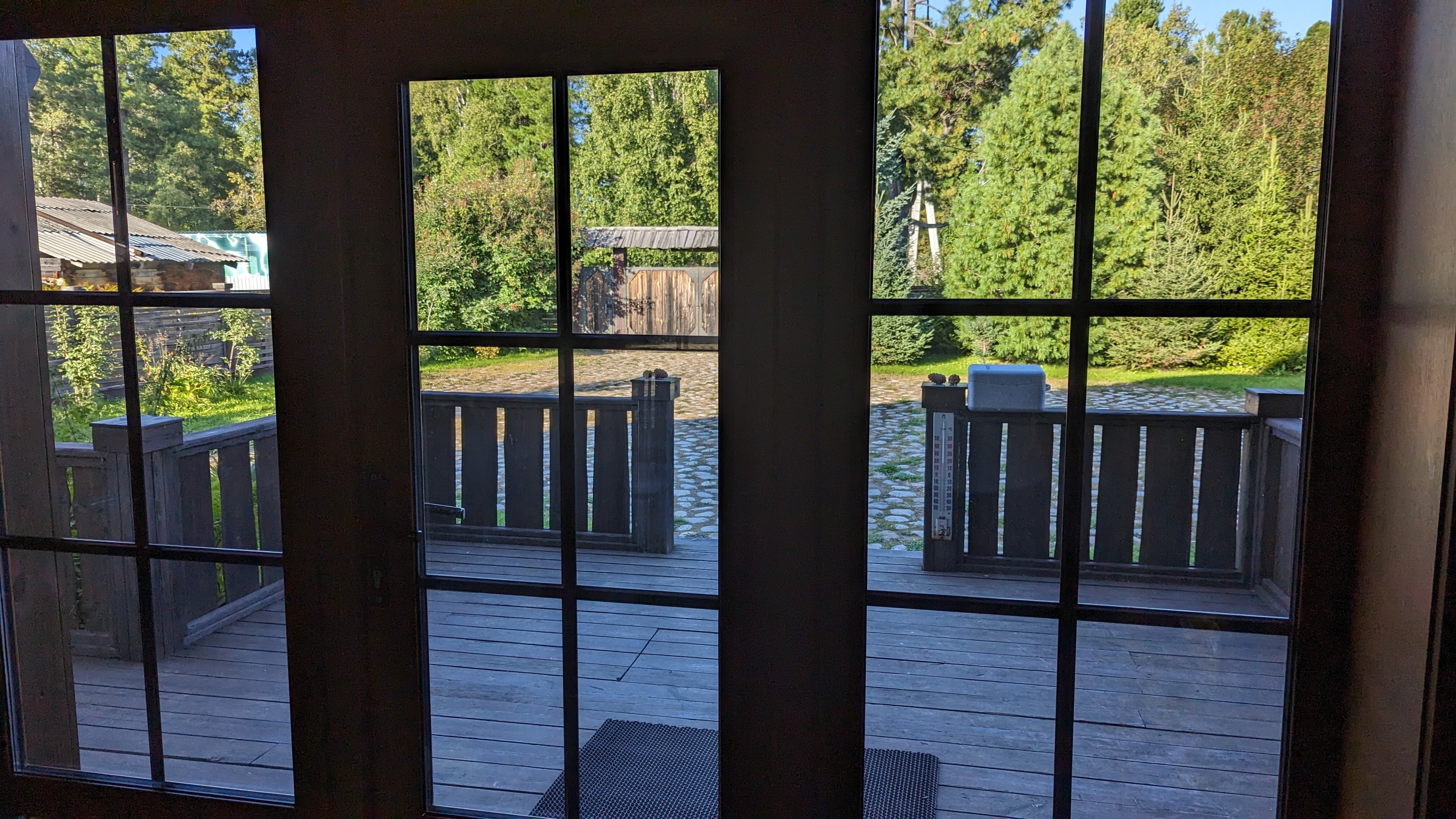 Фото Снежные Гуси