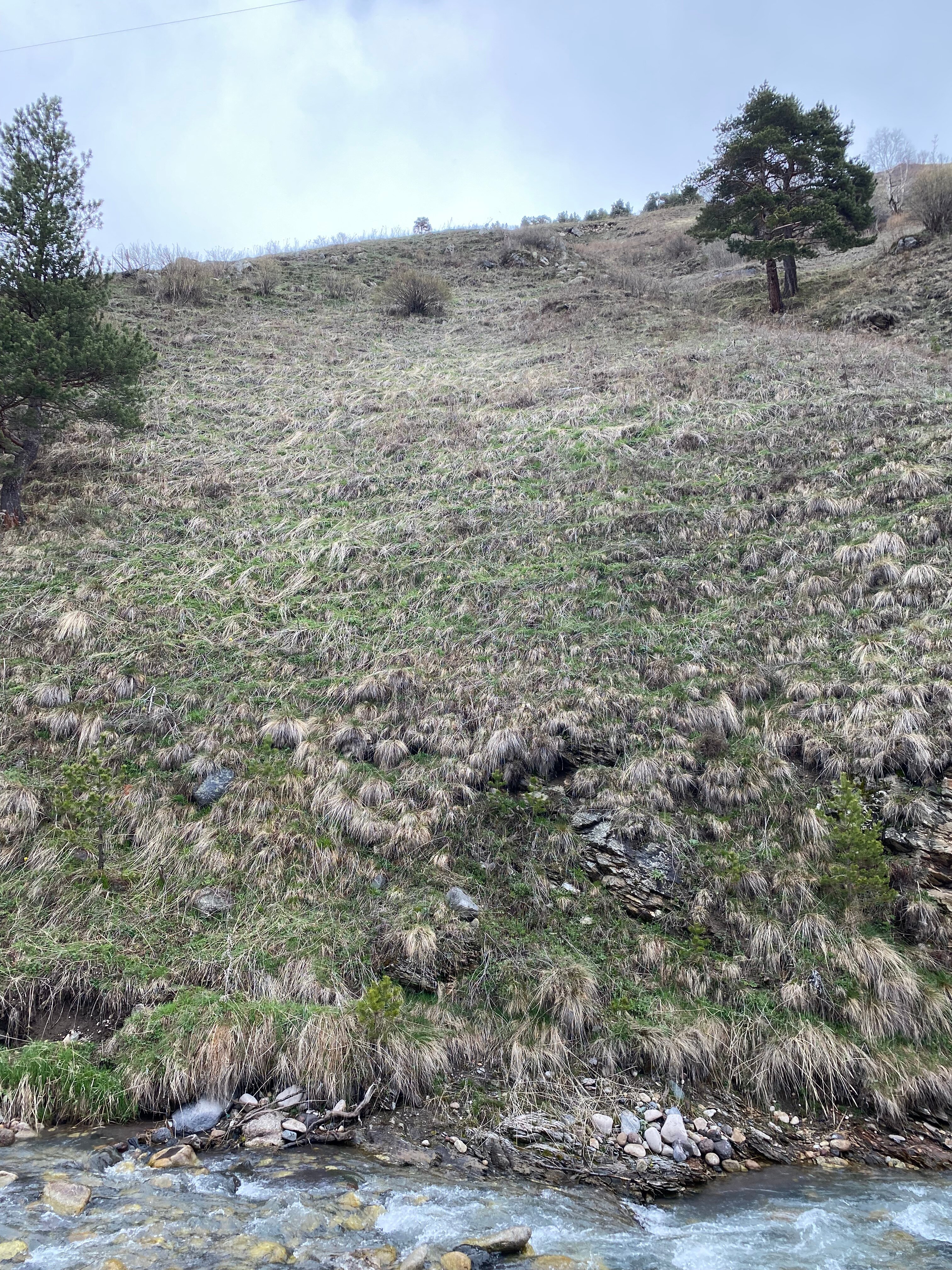 Фото Malkar House