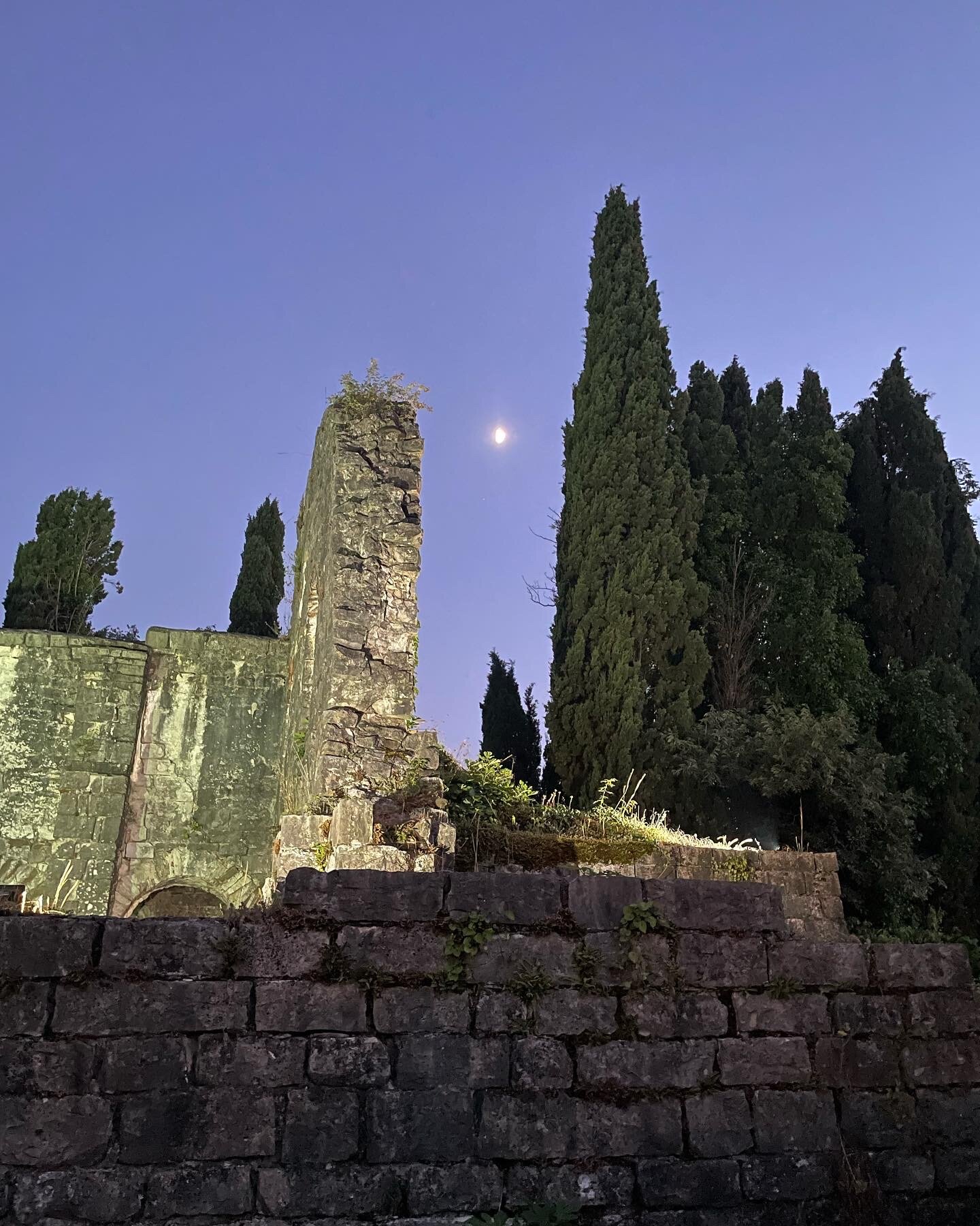 Фото Гости Кавказа