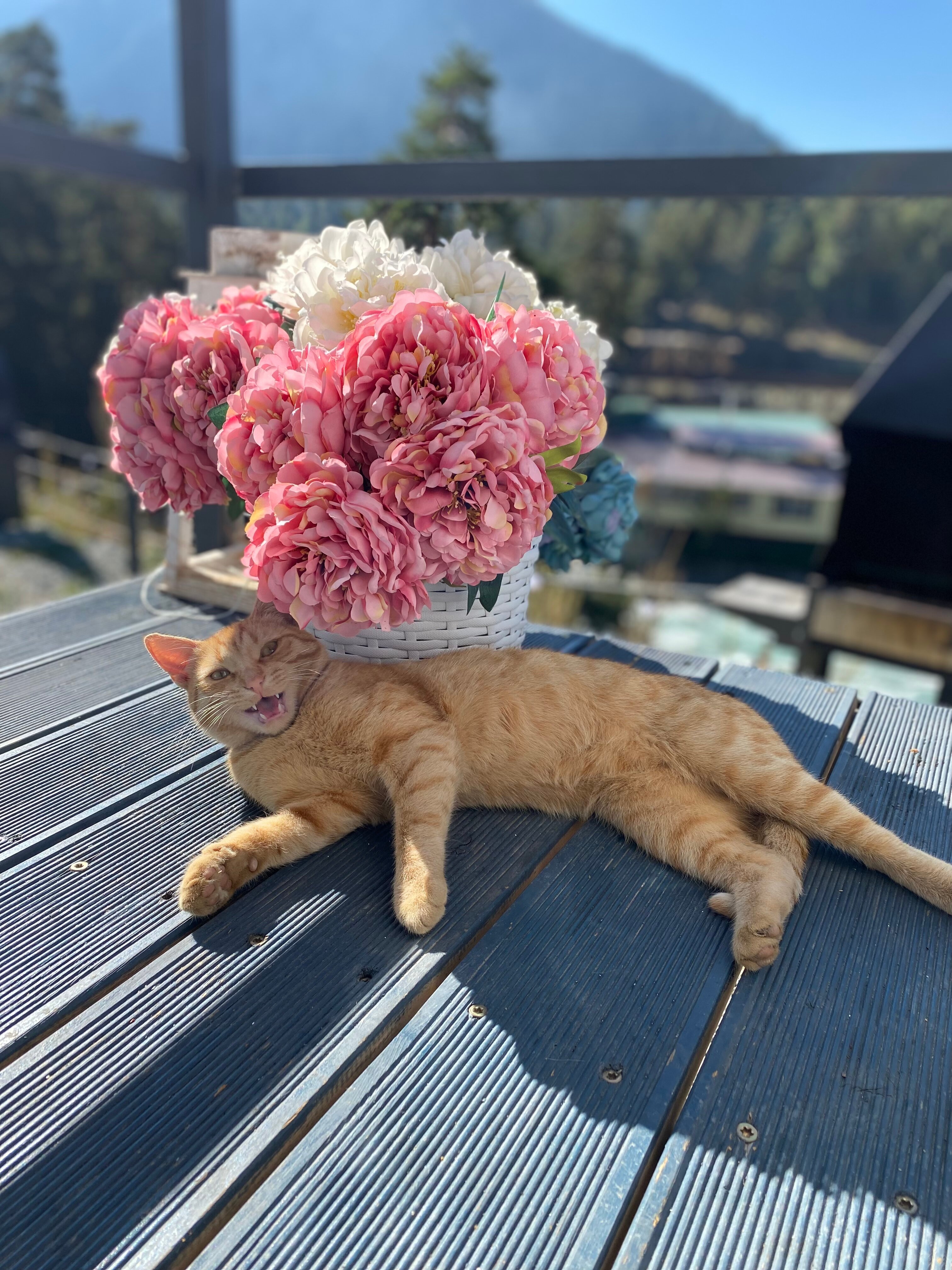 Фото Ривьера Архыз