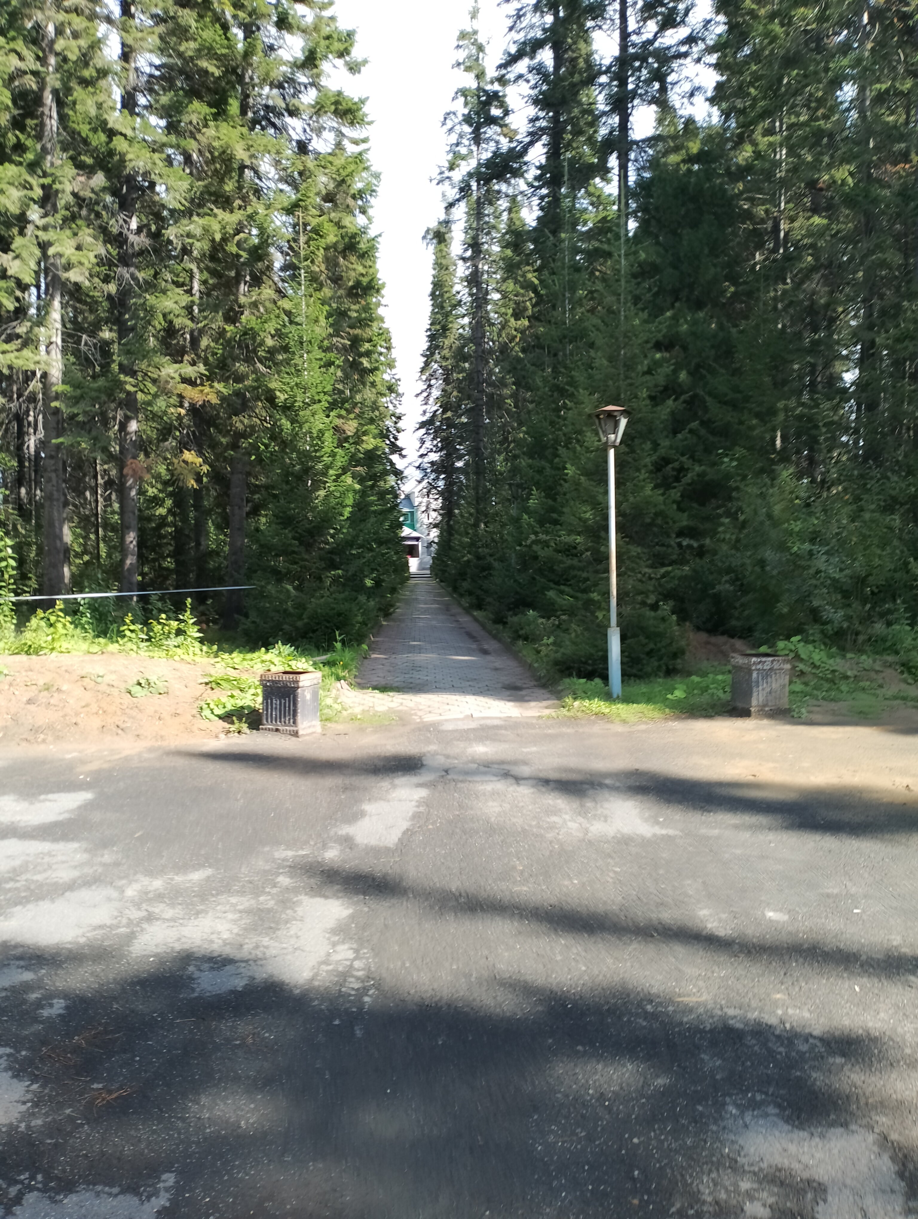 Фото Виктория