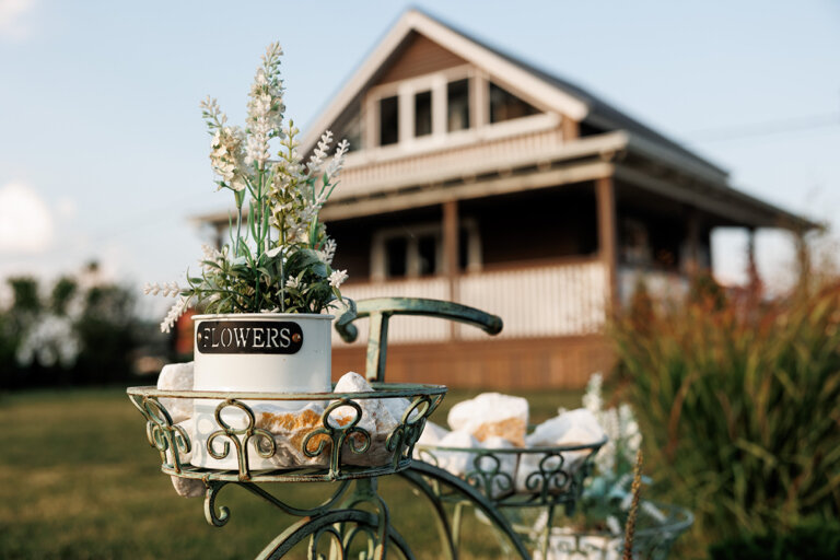 Фото Феникс