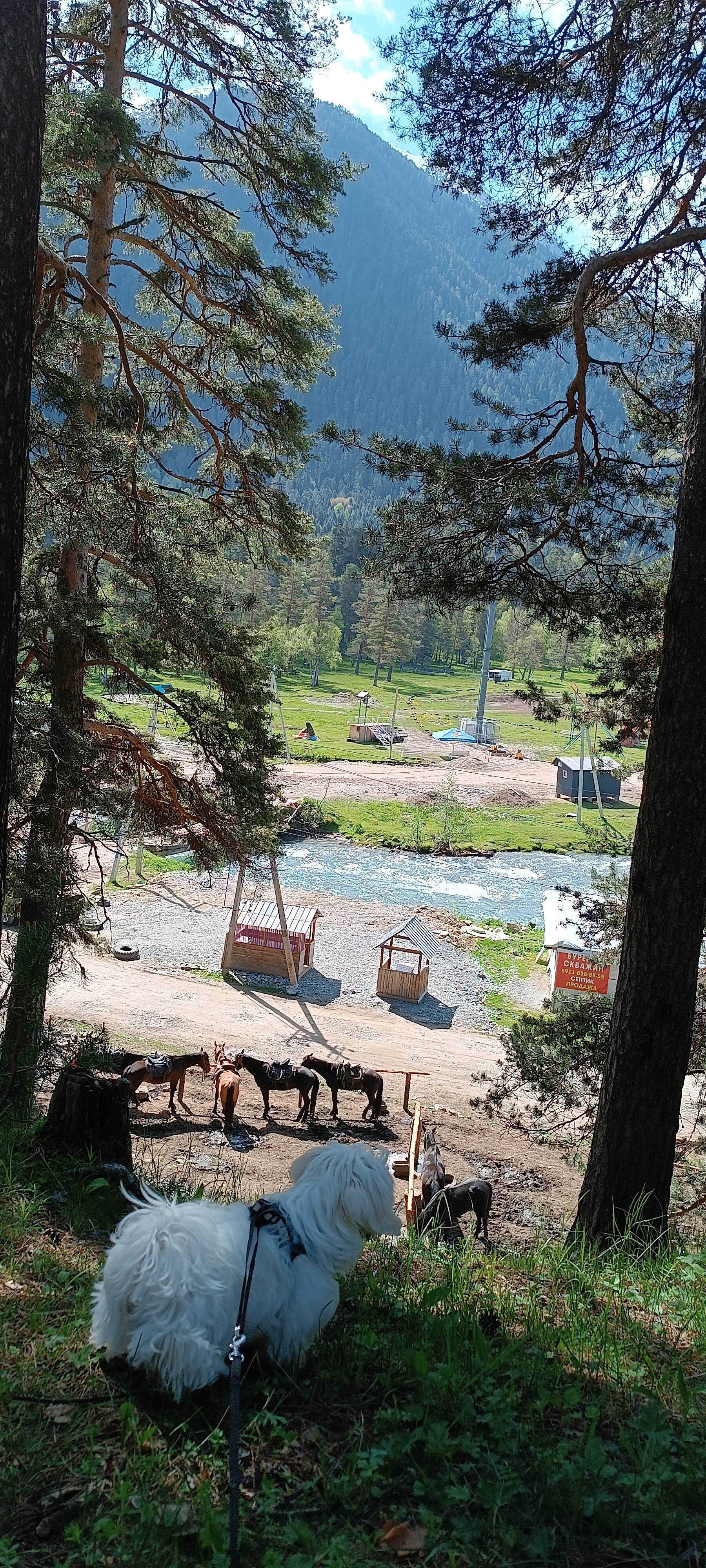 Фото Paradise Arkhyz