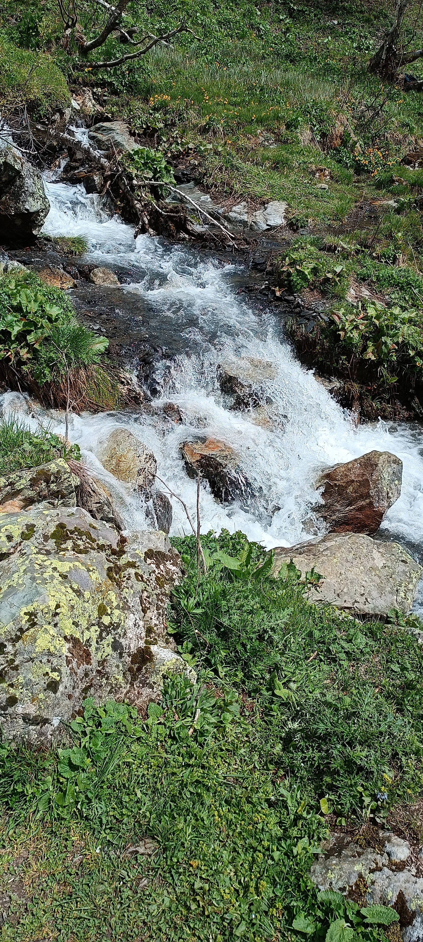 Фото Paradise Arkhyz